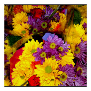 Multi Coloured Daisy Flower Mix Poster