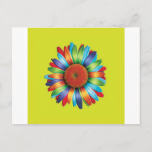 Multi-coloured Daisy Postcard