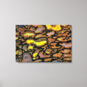 Multi Coloured Dinosaur Bone Canvas Print