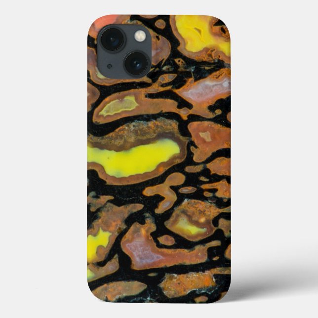 Multi Coloured Dinosaur Bone Case-Mate iPhone Case (Back)