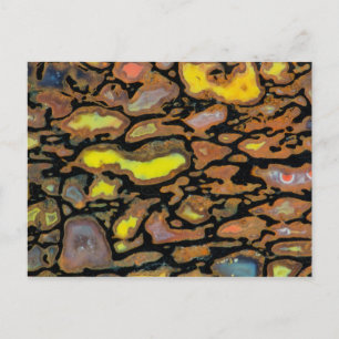 Multi Coloured Dinosaur Bone Postcard
