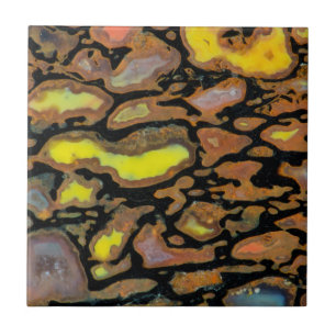 Multi Coloured Dinosaur Bone Tile