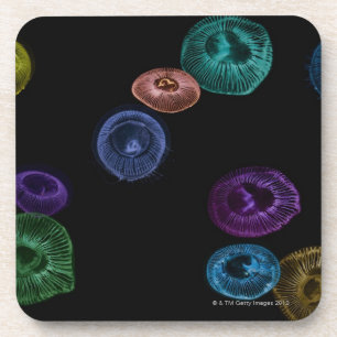 Multi coloured jelly fish on black background coaster