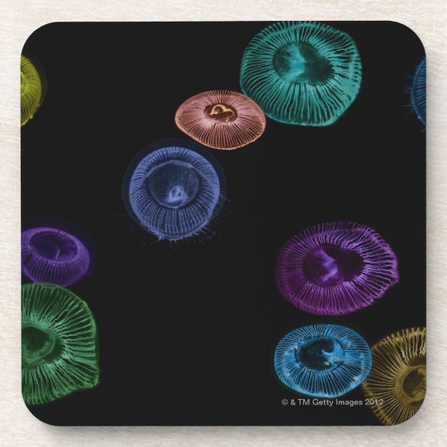 Multi coloured jelly fish on black background coaster (Front)