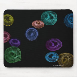 Multi coloured jelly fish on black background mouse mat