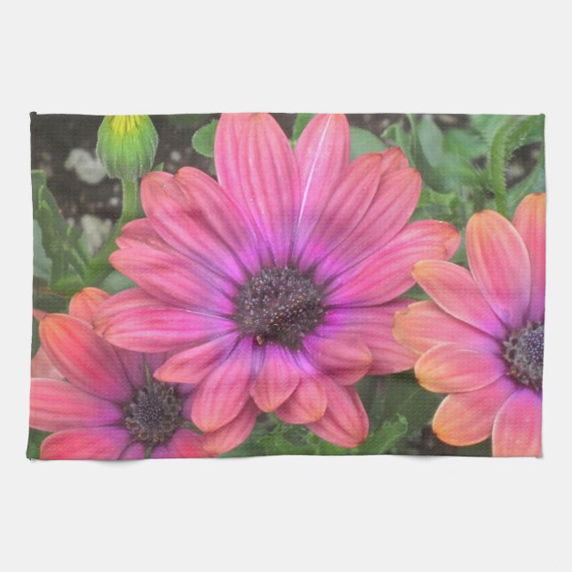 Multi Coloured Kitchen Towel (Horizontal)