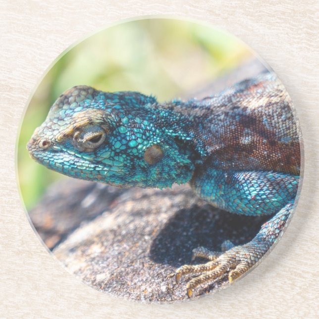 Multi-Coloured Lizard Coaster (Front)