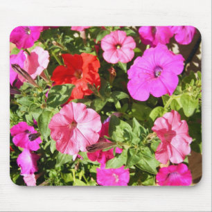 Multi-coloured Petunias Mouse Mat