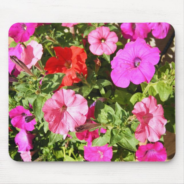Multi-coloured Petunias Mouse Mat (Front)