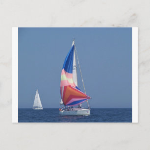Multi Coloured Spinnaker Postcard