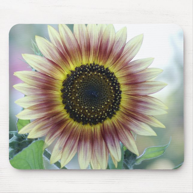 Multi-coloured Sunflower Mouse Mat (Front)