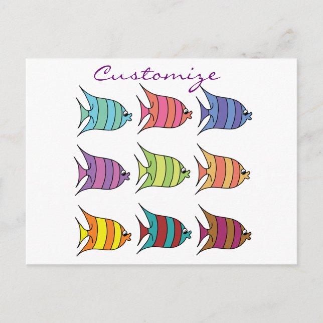 Multi-coloured Tropical Fish Thunder_Cove Postcard (Front)