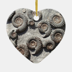 Multi fossil ammonites from the Lower Lias Ceramic Tree Decoration