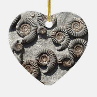 Multi fossil ammonites from the Lower Lias Ceramic Tree Decoration