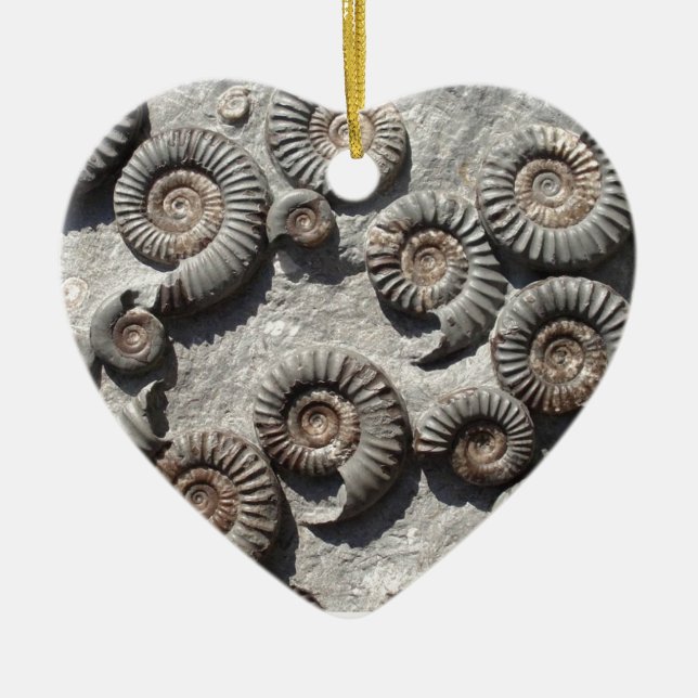 Multi fossil ammonites from the Lower Lias Ceramic Tree Decoration (Front)