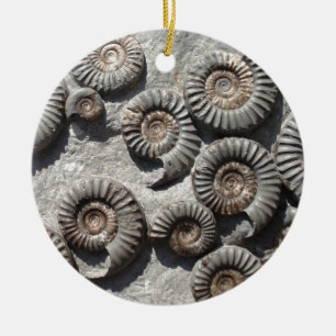 Multi fossil ammonites from the Lower Lias Ceramic Tree Decoration