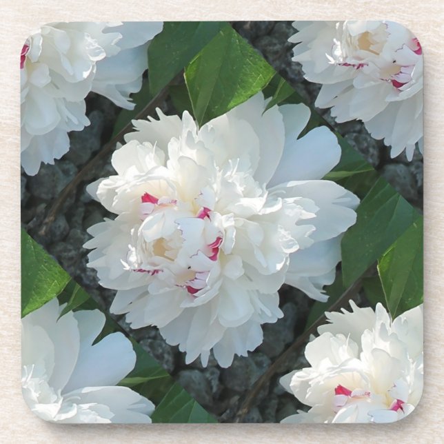 Multi Precious Peony Coasters Cork Back Set of 6 (Front)