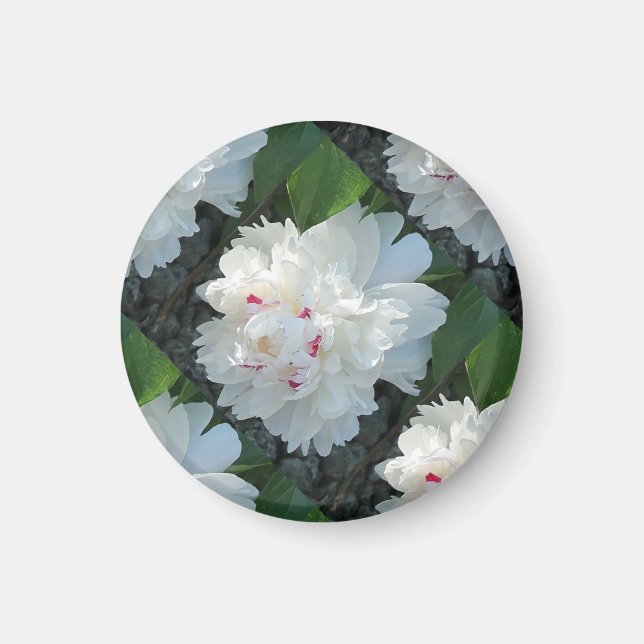 Multi Precious Peony Magnet (Front)