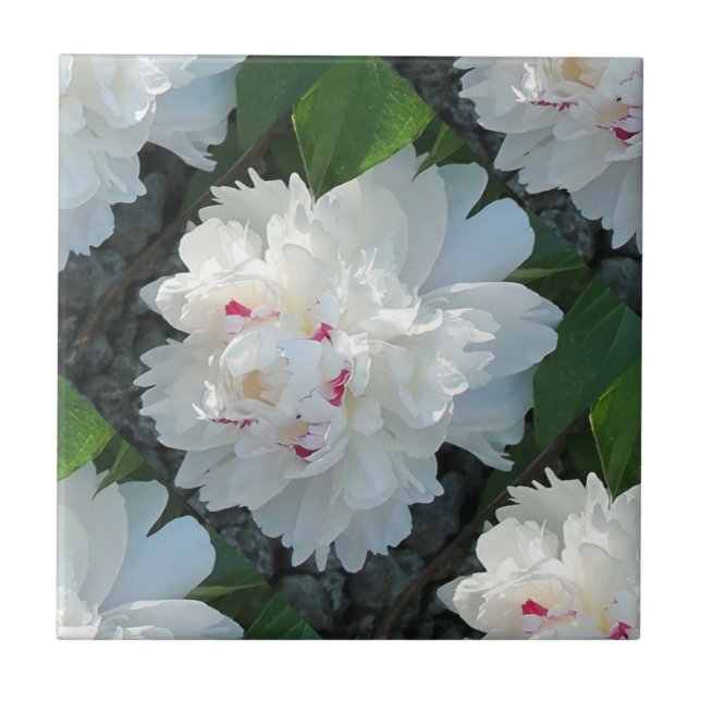 Multi Precious Peony Tile (Front)