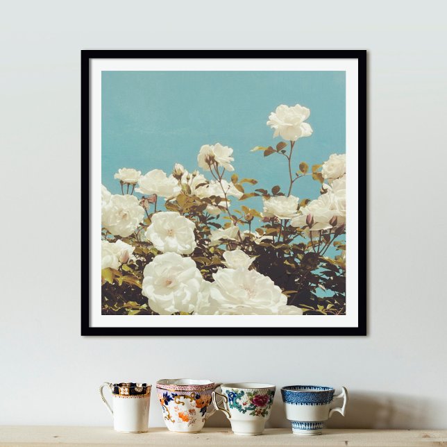 Multi Roses Floral Garden Photo Art Print Poster (Creator Uploaded)