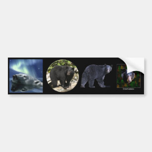 Multi-stickers V BEAR Set Bumper Sticker