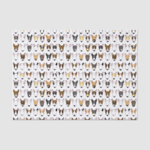 Multibull Bull Terrier Tissue Paper