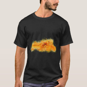 Multicolor Angelfish saltwater reef fish T-Shirt