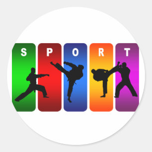 Multicolor Karate Emblem Classic Round Sticker