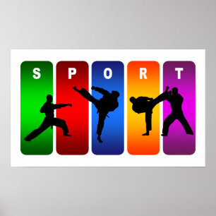 Multicolor Karate Emblem Poster