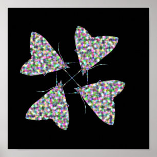 Multicolor Moth Art Print
