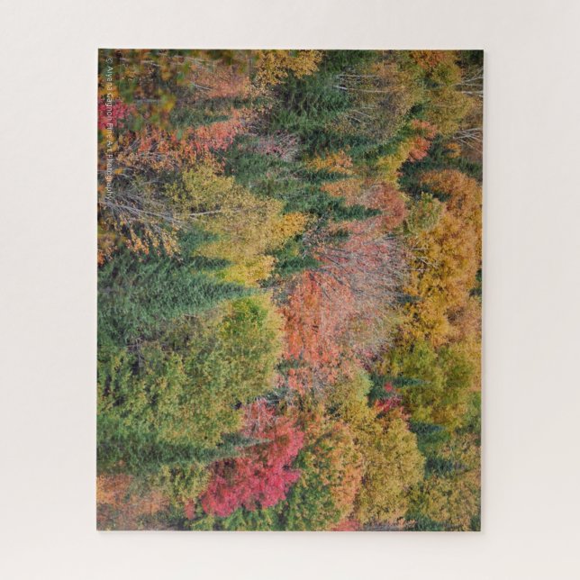 Multicolor Tree Puzzle (Vertical)