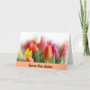 multicolor tulips Save the date! Announcement