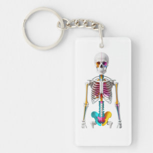 Multicolored artistic anatomical skeleton key ring