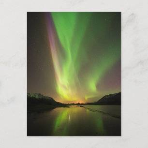 Multicolored Aurora Postcard