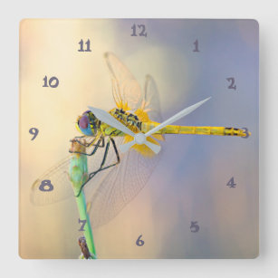 Multicolored Dragonfly Square Wall Clock
