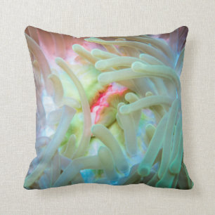 Multicolored Sea Anemone Cushion