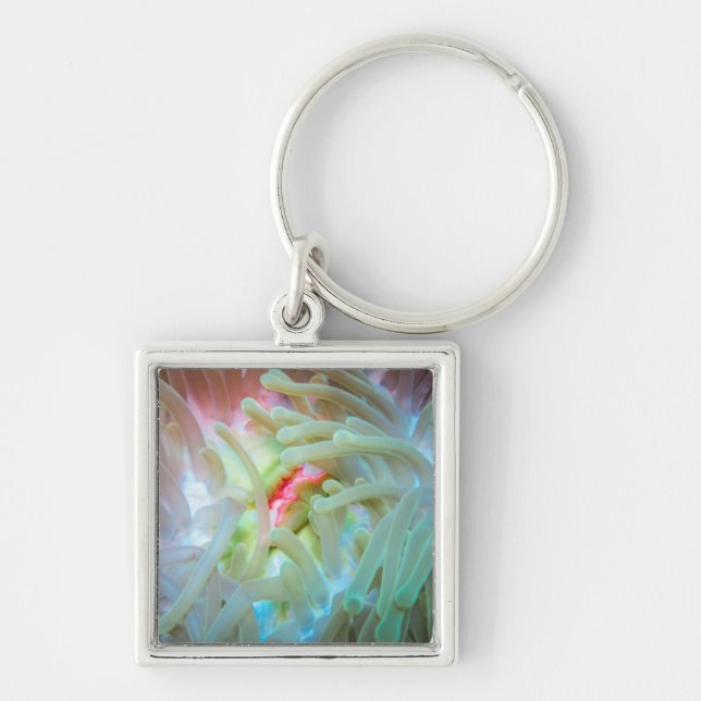 Multicolored Sea Anemone Key Ring (Front)