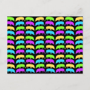 Multicolour Hogs Postcard