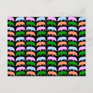 Multicolour Hogs Postcard
