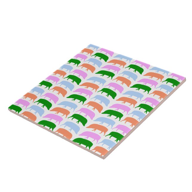 Multicoloured Hogs Pink Blue Green Orange Tile (Side)