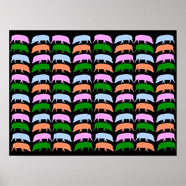 Multicoloured Hogs Poster (Front)