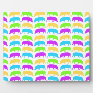 Multicoloured Hogs Yellow Green Purple Blue Plaque