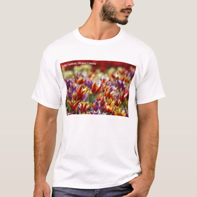 Multicoloured tulips  T-Shirt (Front)