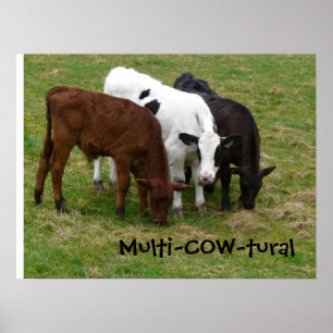 Multicultural? We're Multi-COW-tural! Poster