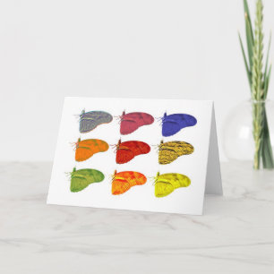 Multiple Butterlfy Designs - Notecard