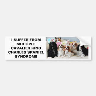 Multiple Cavalier King Charles Syndrome Bumper St Bumper Sticker