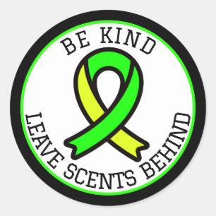 Multiple Chemical Sensitivity MCS Awareness  Classic Round Sticker