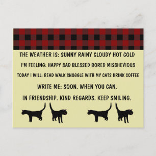 MULTIPLE CHOICE CAT POSTCARDS FOR BUSY PERSON