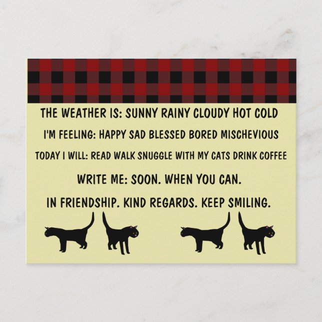 MULTIPLE CHOICE CAT POSTCARDS FOR BUSY PERSON (Front)