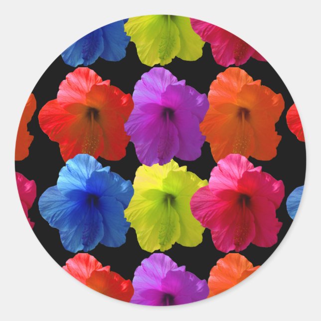 Multiple Coloured Hibiscus Flowers Classic Round Sticker (Front)
